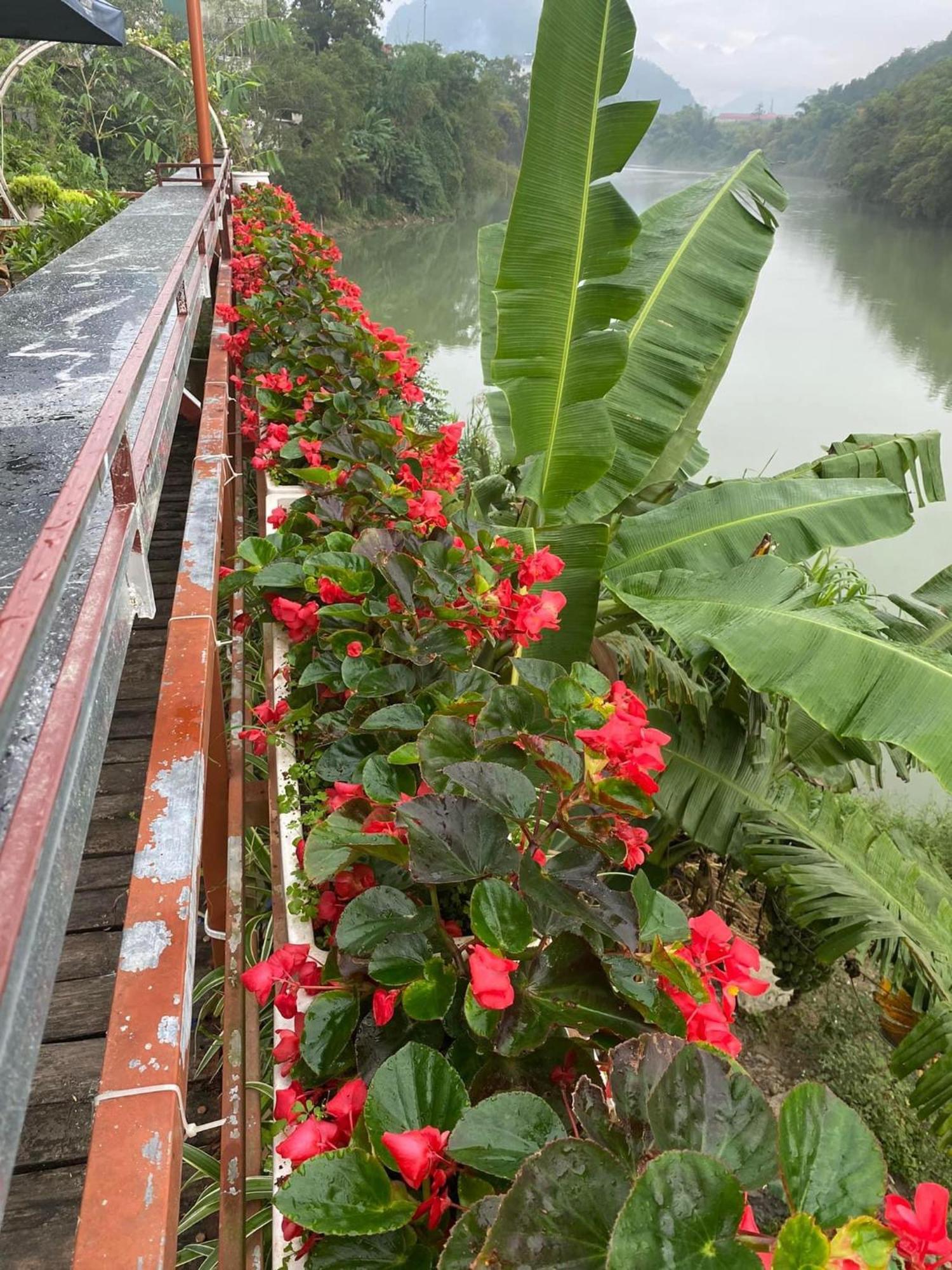 Garden Villa Homestay And Tour Motorbike&Car For Rent Ha Giang Exterior photo